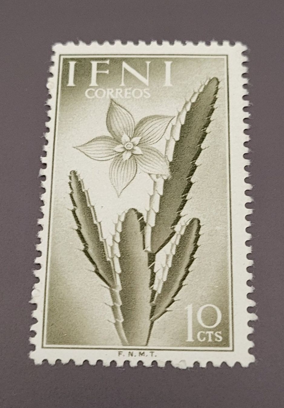 Tutti i francobolli: Ifni 1954 blumen alte briefmarke – Usato da St Gallen venduto da Stampsalshobby