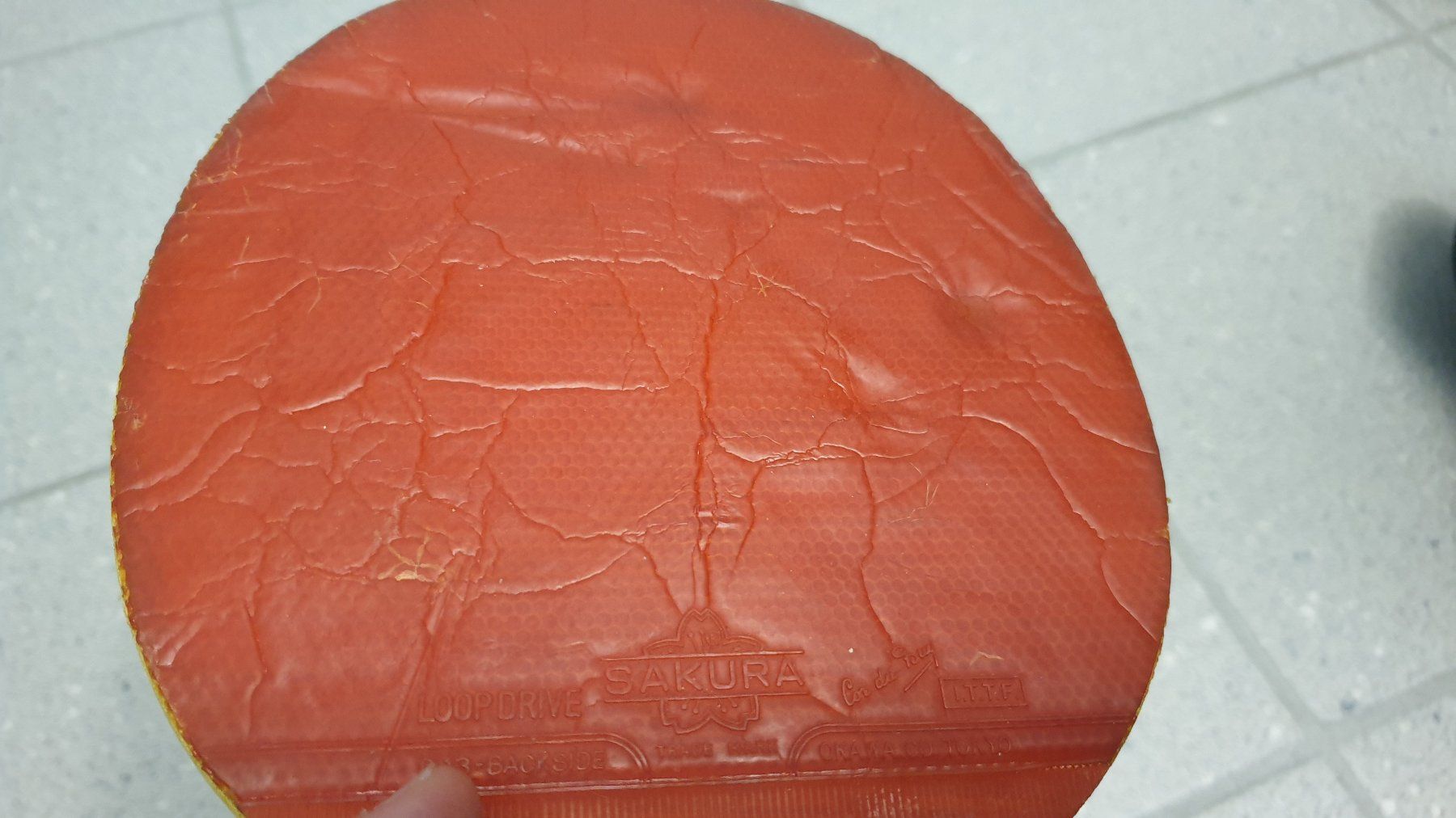 Racchette: Alter Pingpongschläger – Usato da Stäfa venduto da Supertramp73 4