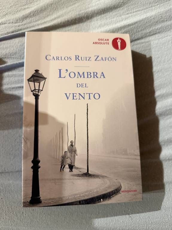 Libri: L'ombra del vento – Usato da Arogno venduto da aly_8twx