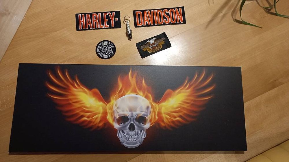 Harley-Davidson Toppe: Harley Davidson Aufnäher Patch Bild Totenkopf Skull – Usato da Schupfart venduto da Bluelightning