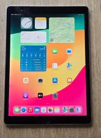 Ipad Pro 2 gen WIFI 12,9''  256 GB Speicher  A1670