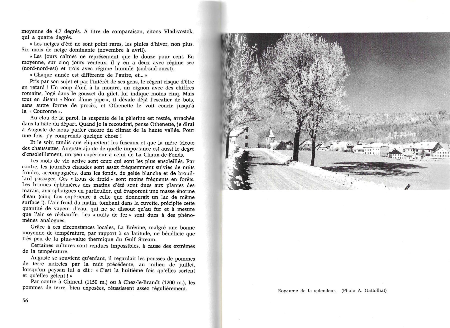 Libri: La Brévine du Régent – Usato da Savagnier venduto da Ne2065 3