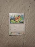 pokemon karte 