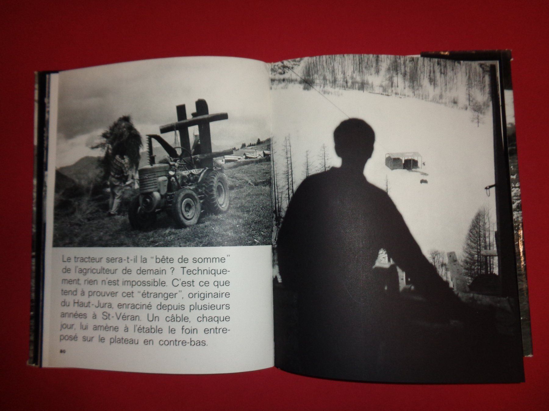 Libri: YVAN Dalain Fotobuch Le Queyras – Usato da Welschenrohr venduto da Regool 1