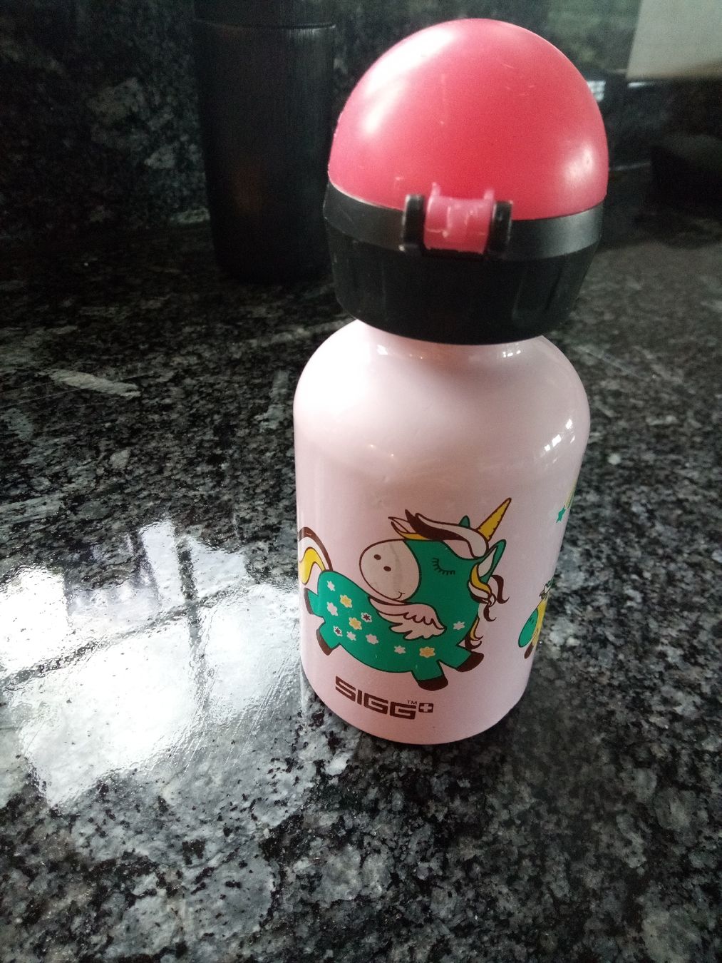 Sigg Borracce & Thermos: SIGG Trinkflasche Einhorn & Fee, rosa, CH-Produktion – Usato da Volketswil venduto da Car1