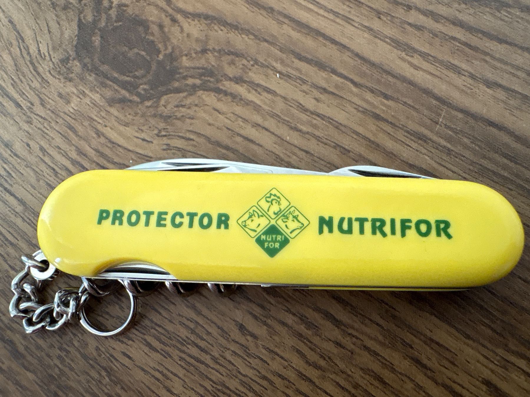 Wenger Coltelli tascabile: WENGER - Sackmesser - PROTECTOR NUTRIFOR – Usato da Andwil SG venduto da Rainboli 8