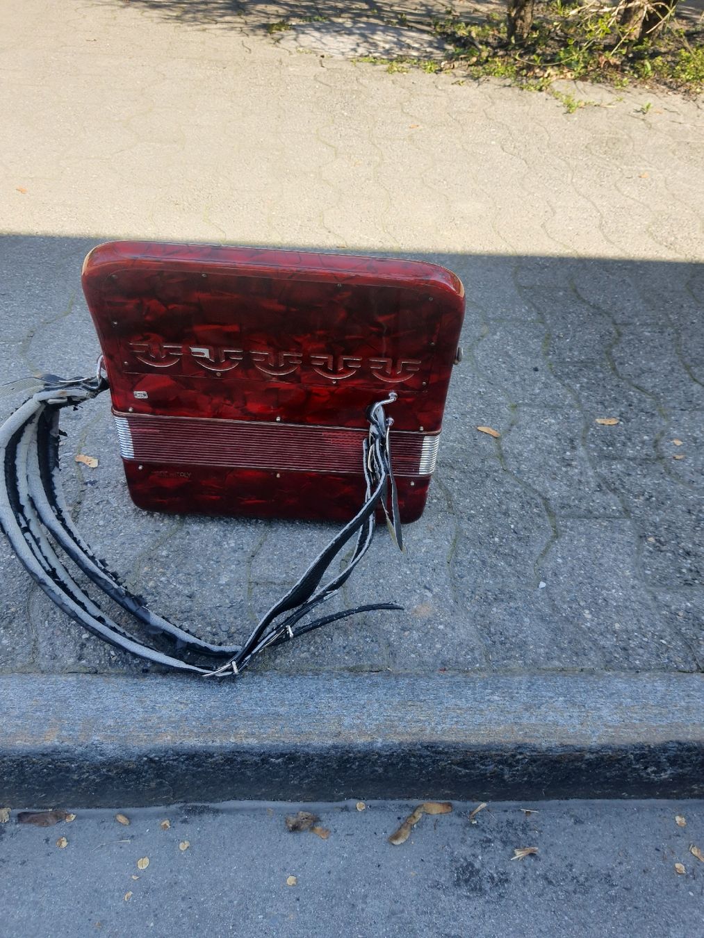 Adria Strumenti musicali: accordéon Adria chromatique – Usato da Pont-de-la-Morge venduto da Mirabelle0 5