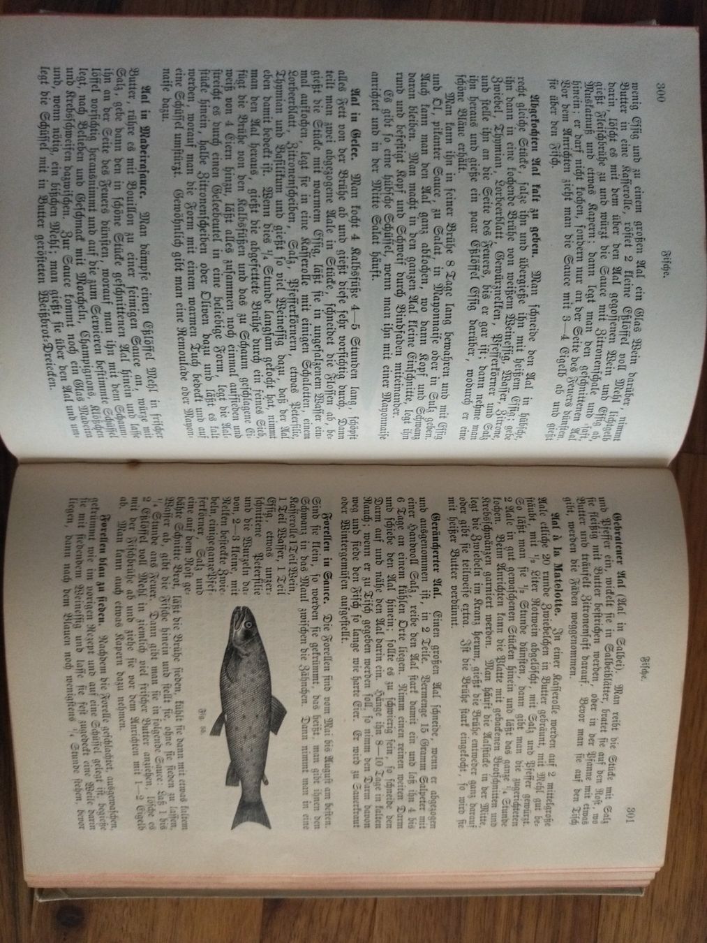 Bücher: Kochbuch antik 1905 – Gebraucht aus Felben-Wellhausen von bananajoe8474 4