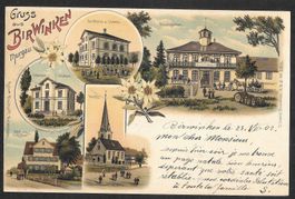Birwinken farbige Lithografie 5 Bilder