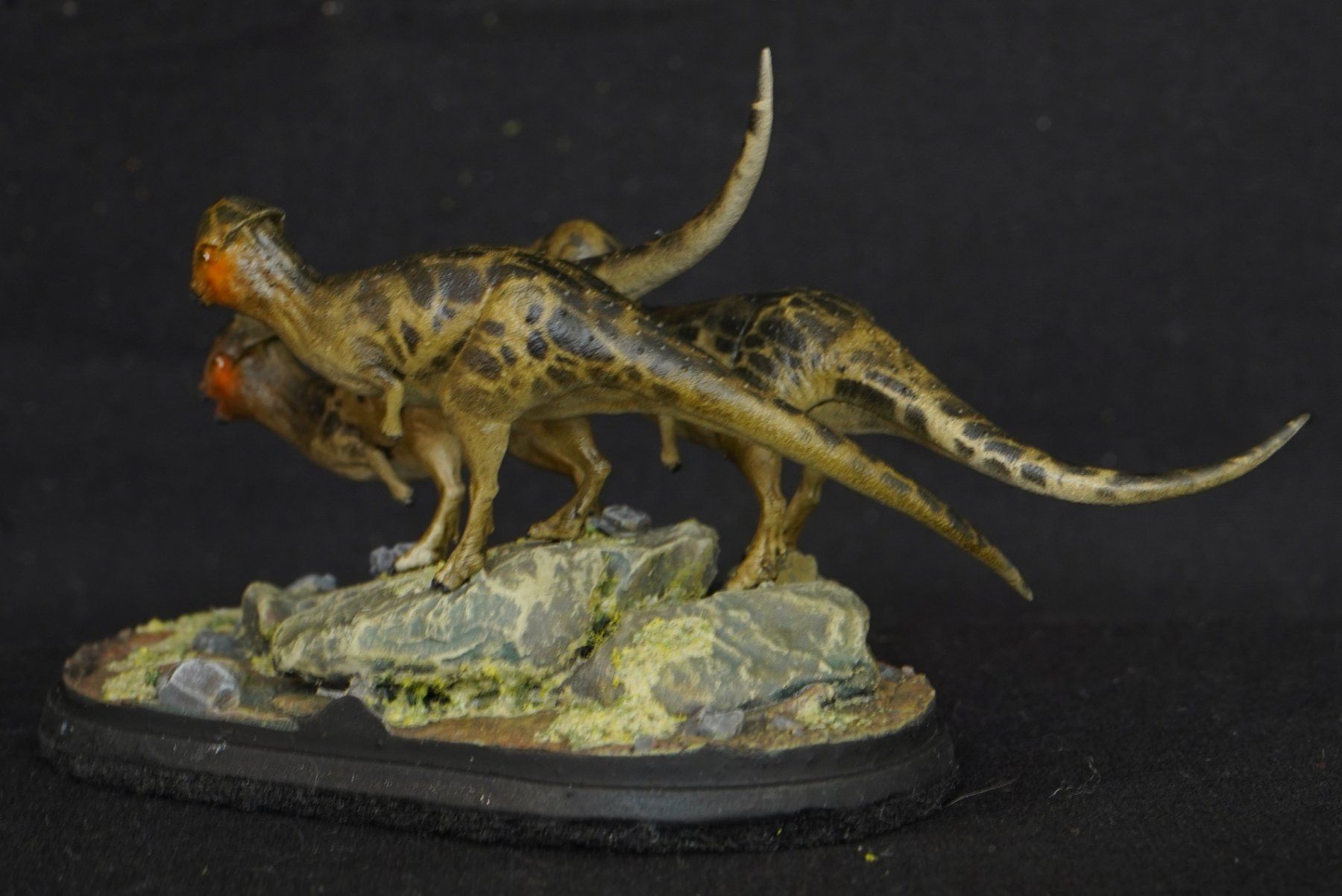 Statuette: Prenocephale 1:35 3D printed Model Dinosauria – Usato da Selzach venduto da Ataraxus 3