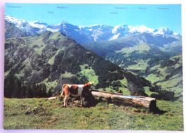 Lenk, B.O., Panorama vom Bühlberg