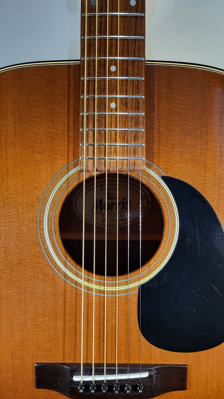 Strumenti musicali: Western Gitarre Morris WT-19 – Usato da Winterthur venduto da NorrSydGuitars 3