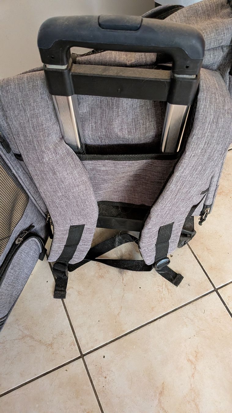 Cucce & Letti: Hunde Transport Rucksack oder Ziehwagen  – Nuovo (secondo la descrizione) da Wattenwil venduto da karinschaw 1