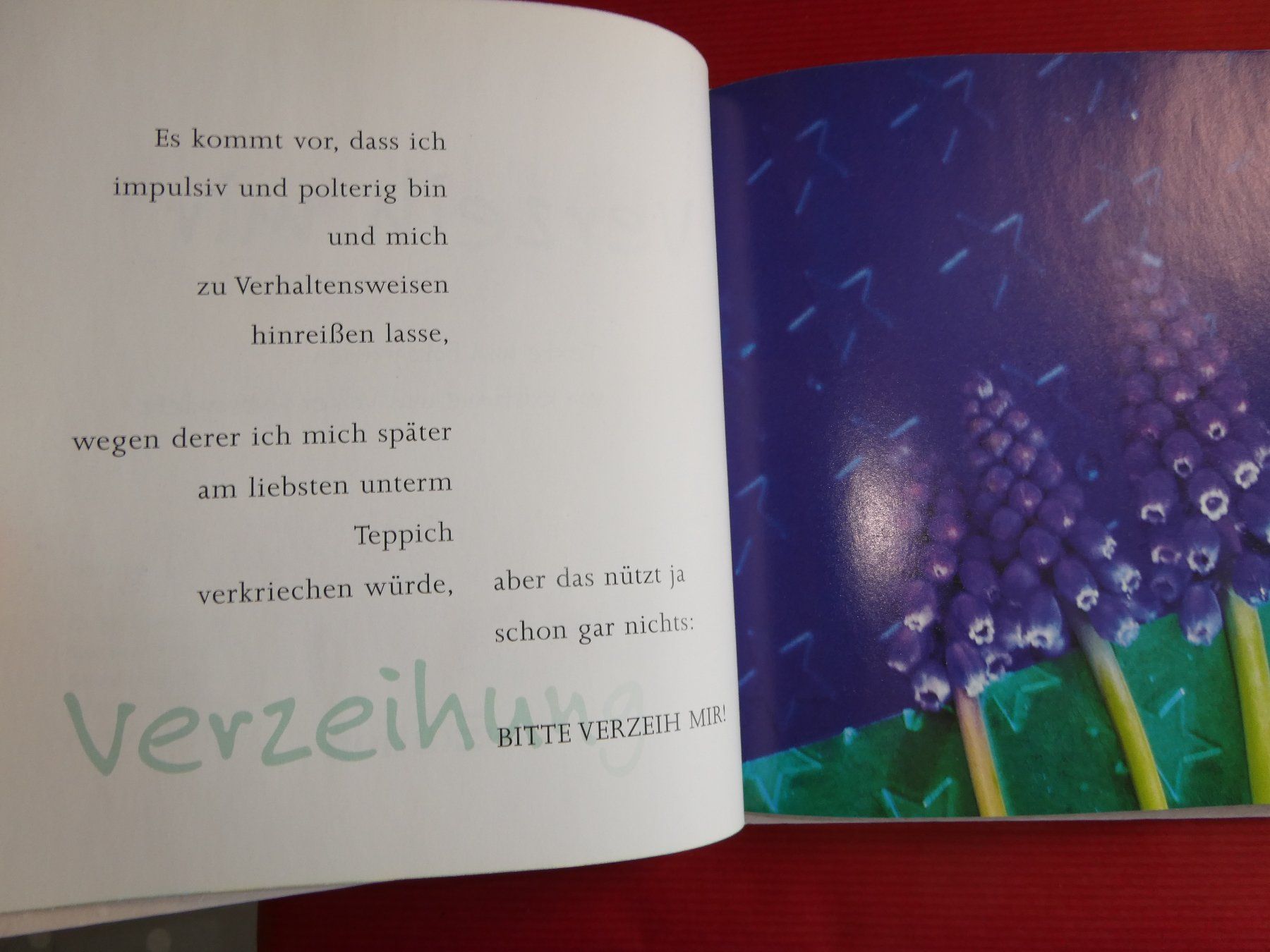 Libri: Büchlein Verzeih mir – Usato da Mels venduto da KOSL 3