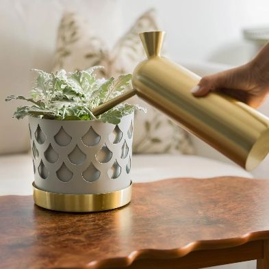 Annaffiatura & Irrigazione: Neu! Design-Giesskanne, Svante, von Klong / Nickel – Nuovo e nell'imballaggio originale da Bern venduto da Fraeuleinhonig 2