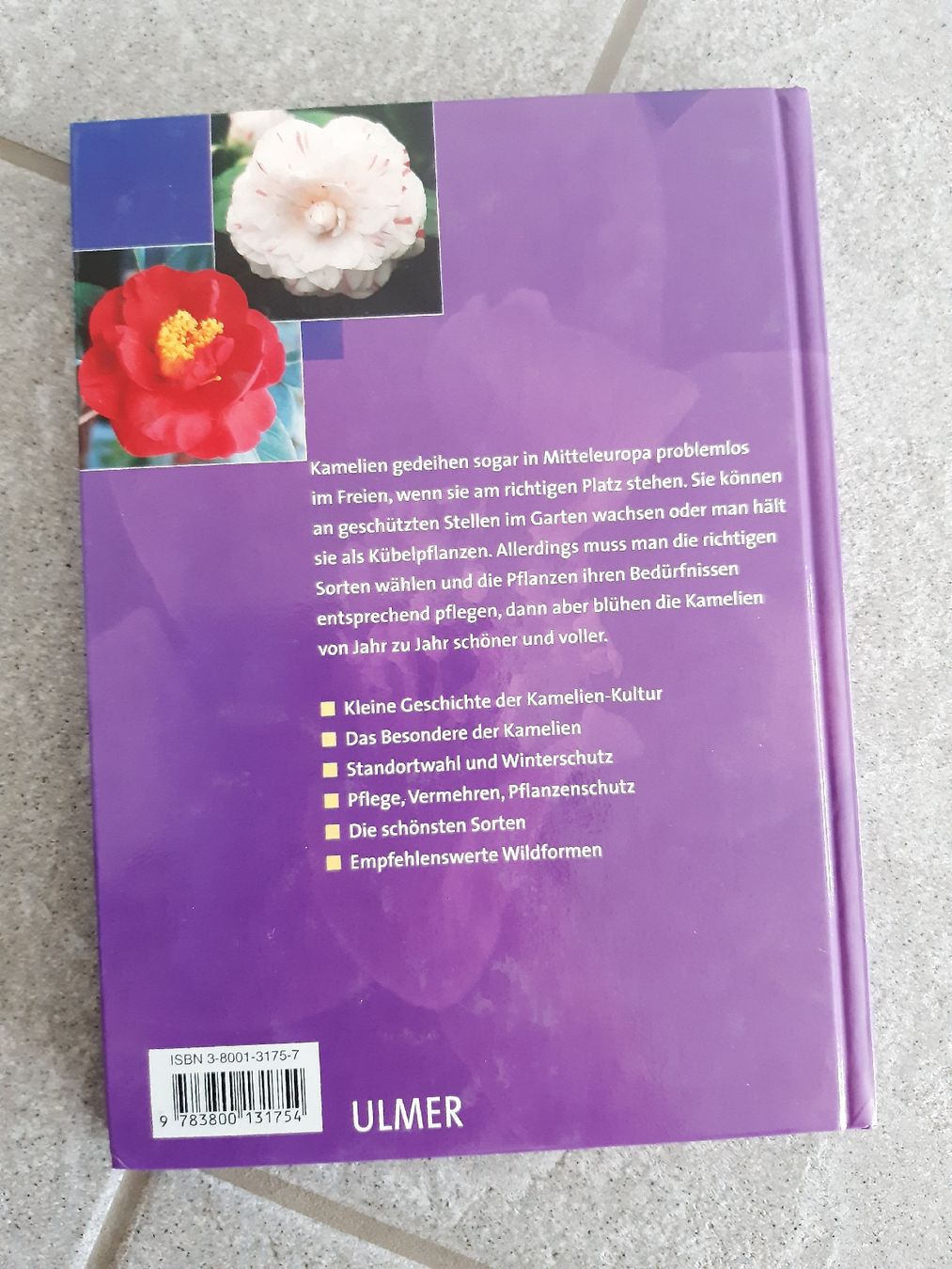 Bücher: blumenbuch kamelien – Neu (gemäss Beschreibung) aus Nebikon von Haidihooo 1
