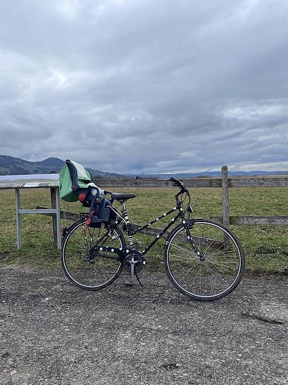 Pezzi di ricambio: Fahrrad Sitzli – Usato da Wangen SZ venduto da flowerfly 2
