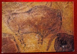 Altamira Bison top