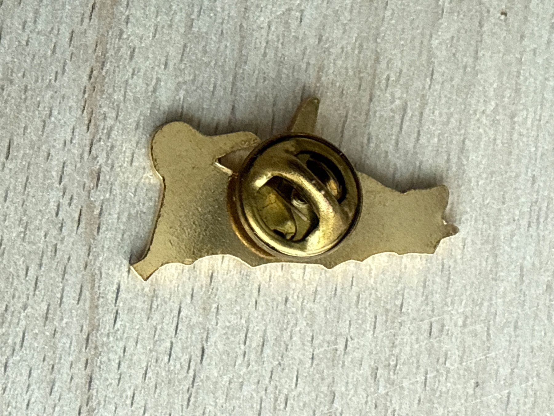 Plaketten & Abzeichen: Pin Aqua Conforma – Gebraucht aus Glattbrugg von Schweigmatt 1