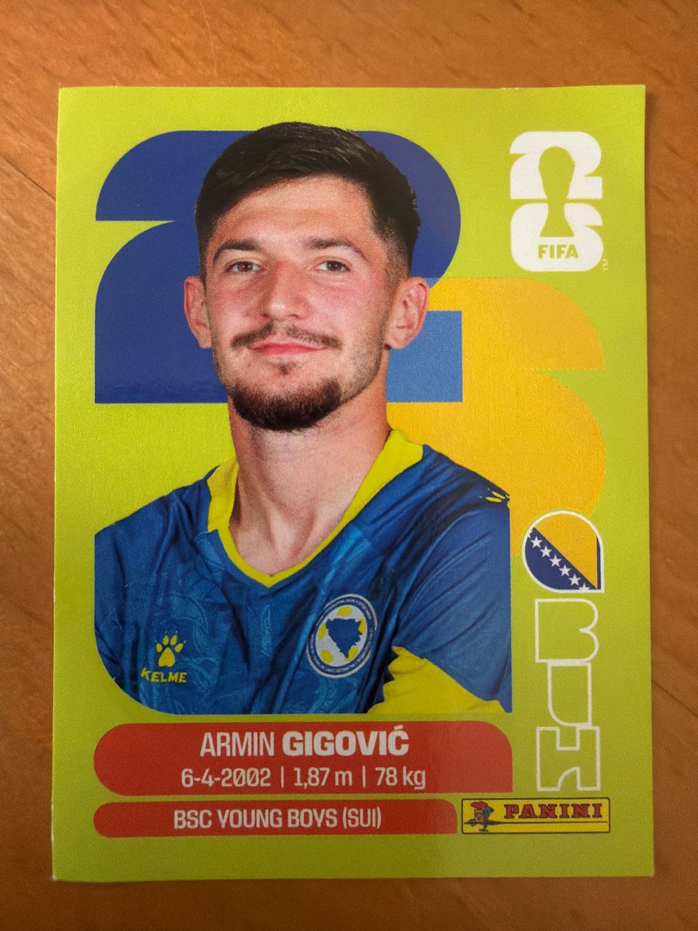Panini Sammelbilder & Trading cards: Panini BIH10 – Neu (gemäss Beschreibung) aus Susten von Rechnun