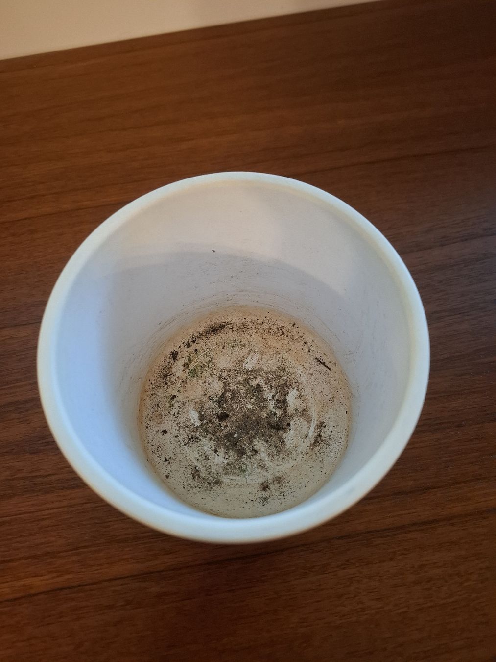 Blumentöpfe: Pot de fleurs, beige – Gebraucht aus Granges-Paccot von chloead 1