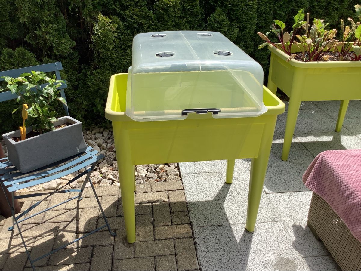 Box contenitori: Hochbeet grün  – Usato da Veltheim AG venduto da mollilove