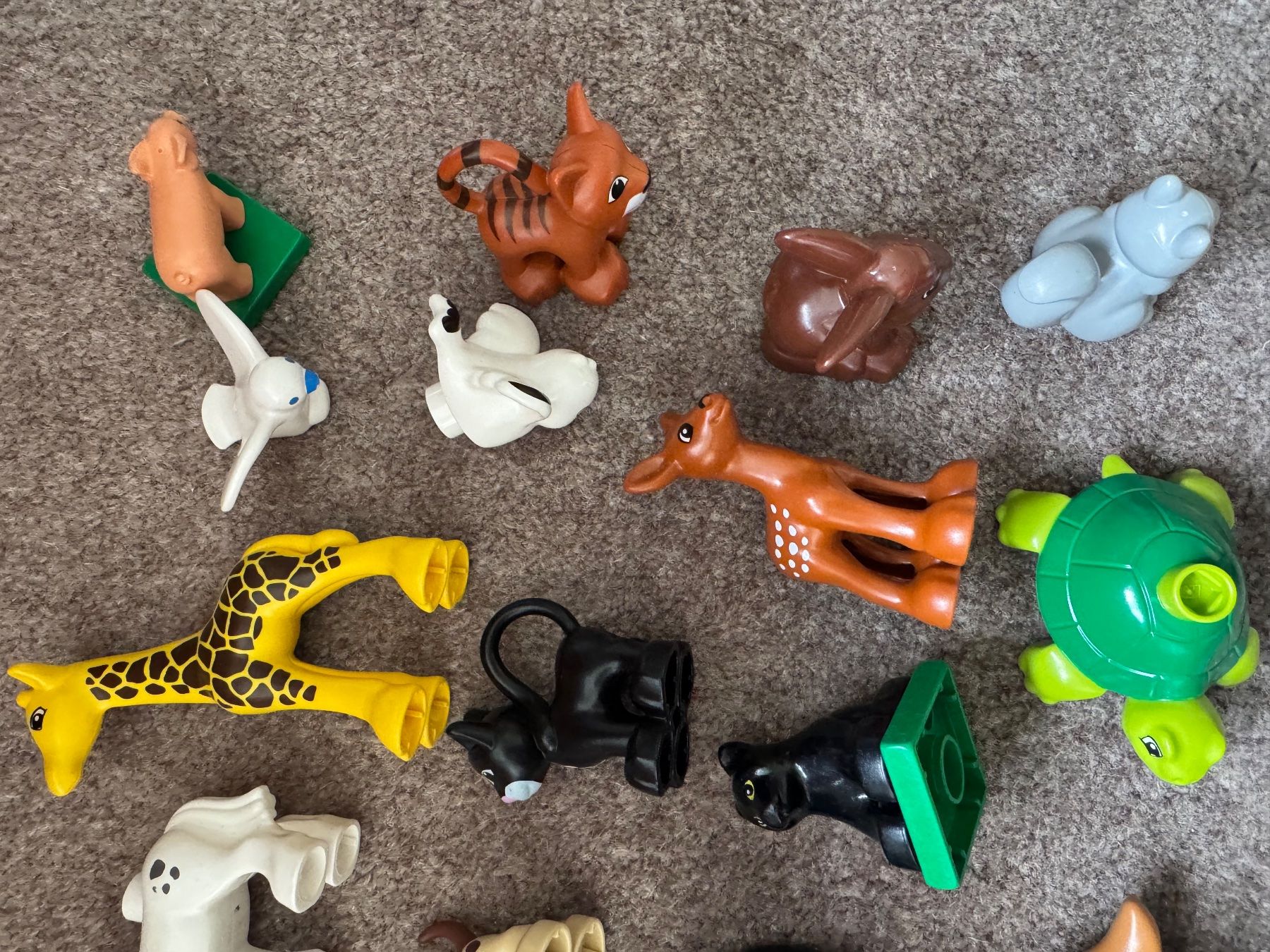 Lego Giocattoli: Lego Duplo diverse Tiere – Usato da Aarau venduto da Kilauea 3