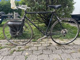 Rennvelo zu restaurieren 