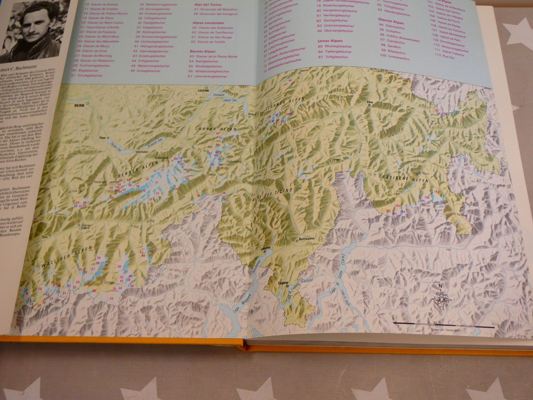 Libri: Buch: Gletscher der Schweiz Silva-Verlag – Usato da Rafz venduto da Powacaddy 1