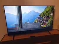 TV 75" Bildschirm defekt