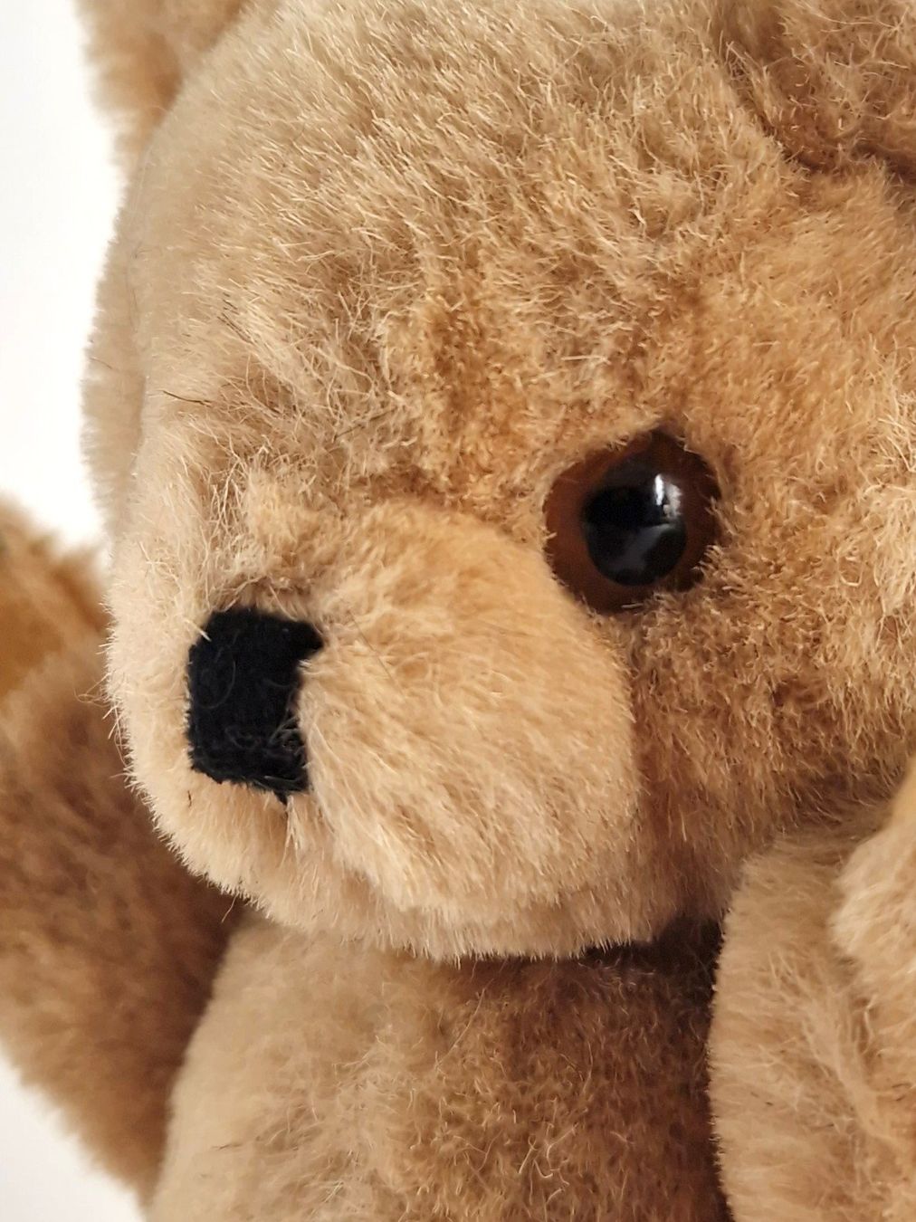 Giocattoli: Charmanter Teddybär – Usato da Basel venduto da Restwert_Basel 7