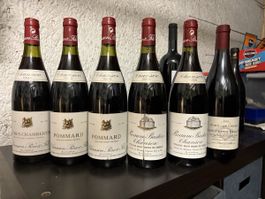 6 Flaschen Wein Diverse