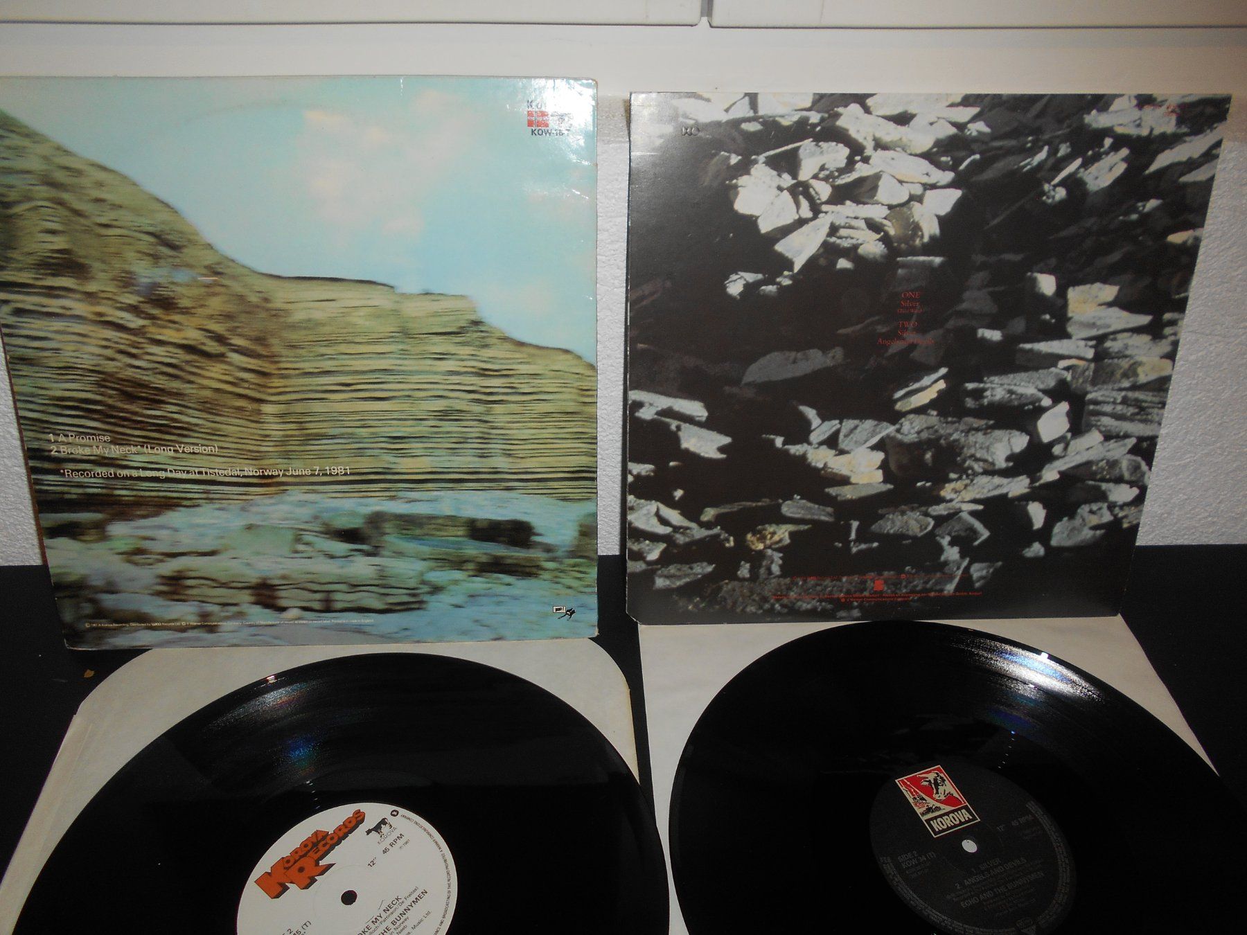 Dischi in vinile: Echo & The Bunnymen – 2 Maxis – Usato da Aarberg venduto da witchhunter01 2