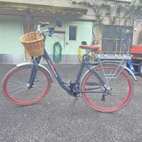 E-Bike Damen 25 km/h