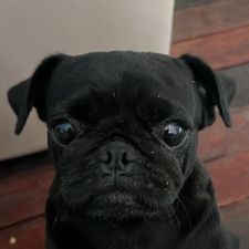 Profile image of ycy_m22k