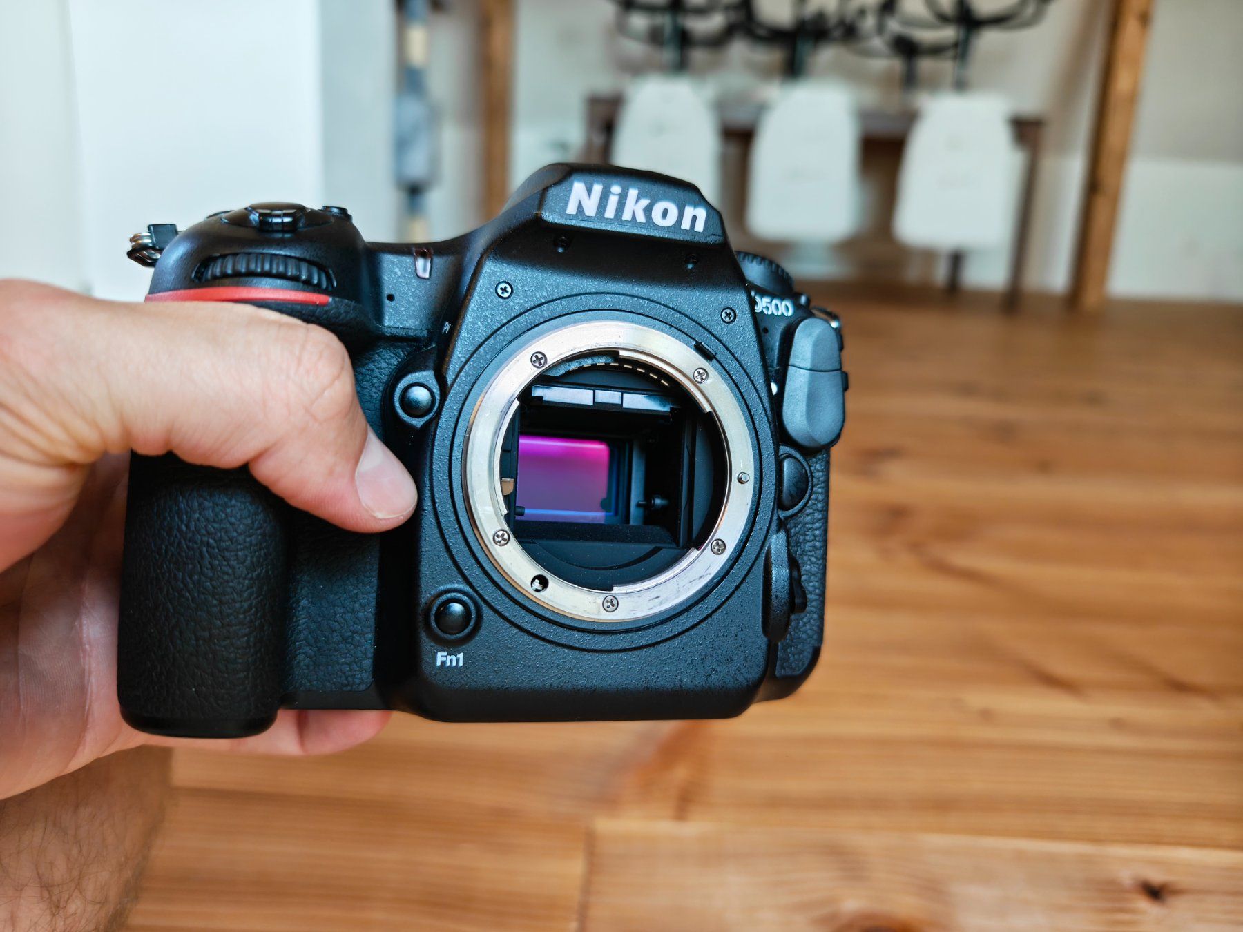 Nikon Kamera: Nikon D500 Body + Ersatzakku – Gebraucht aus Safenwil von RebSve 6
