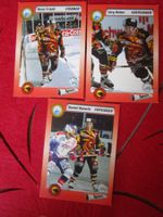SC BERN EISHOCKEY SAMMELKARTEN SAISON 1993/94 ANTIK