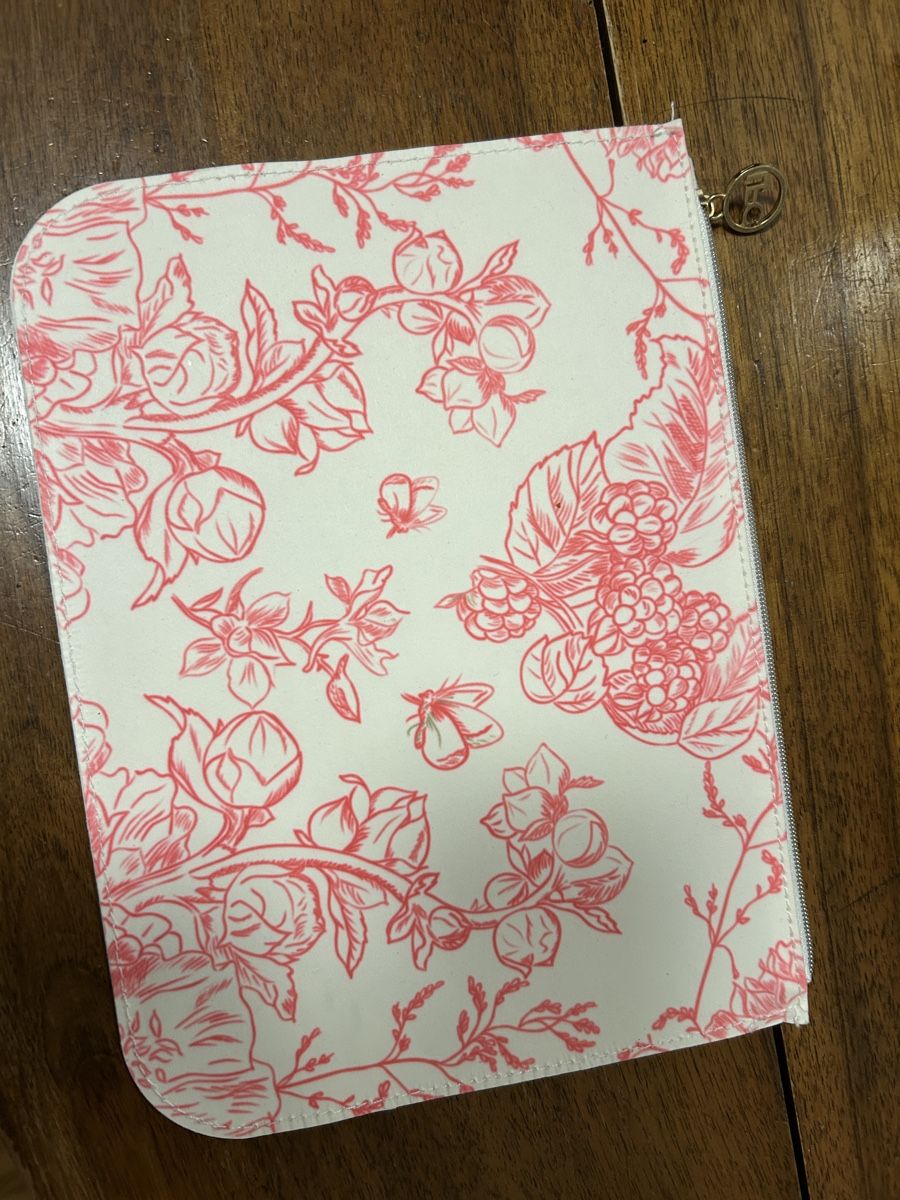 Valigie & Borse: Trousse plate – Nuovo (secondo la descrizione) da Ecublens VD venduto da mirandagirl 1