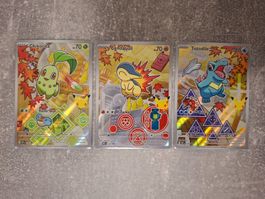 First Partner Johto, Chikorita, Cyndaquil, Totodile - EN -