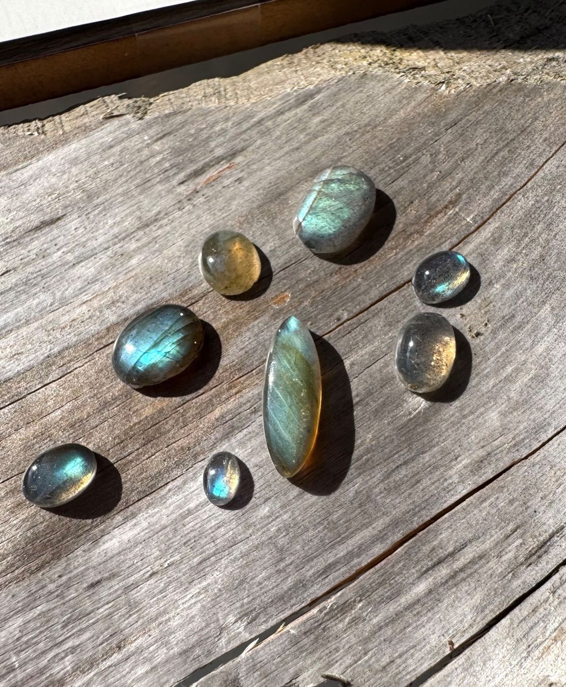 Pietre preziose: Labradorit Cabochons  ECHT!!!   top Farben/Glanz – Nuovo e nell'imballaggio originale da Leuggern venduto da gemshow 4