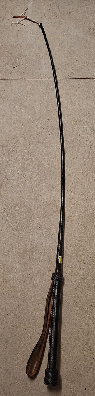 Altro in Accessori per animali: Schwarze Reitgerte mit Lederschlaufe. Peitsche  – Usato da Glattbrugg venduto da cub_w7l8 2