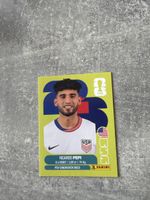 Panini Sticker Ricardo Pepi USA 18