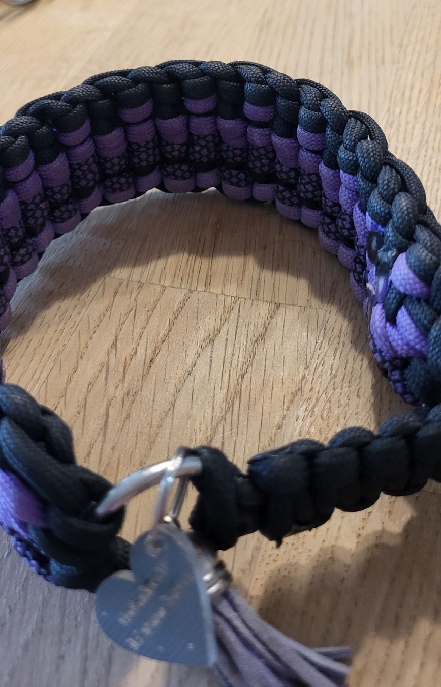Leine & Halsband: Zug Stopp Halsband Windhund – Gebraucht aus oberuzwil von Dogstyle 2
