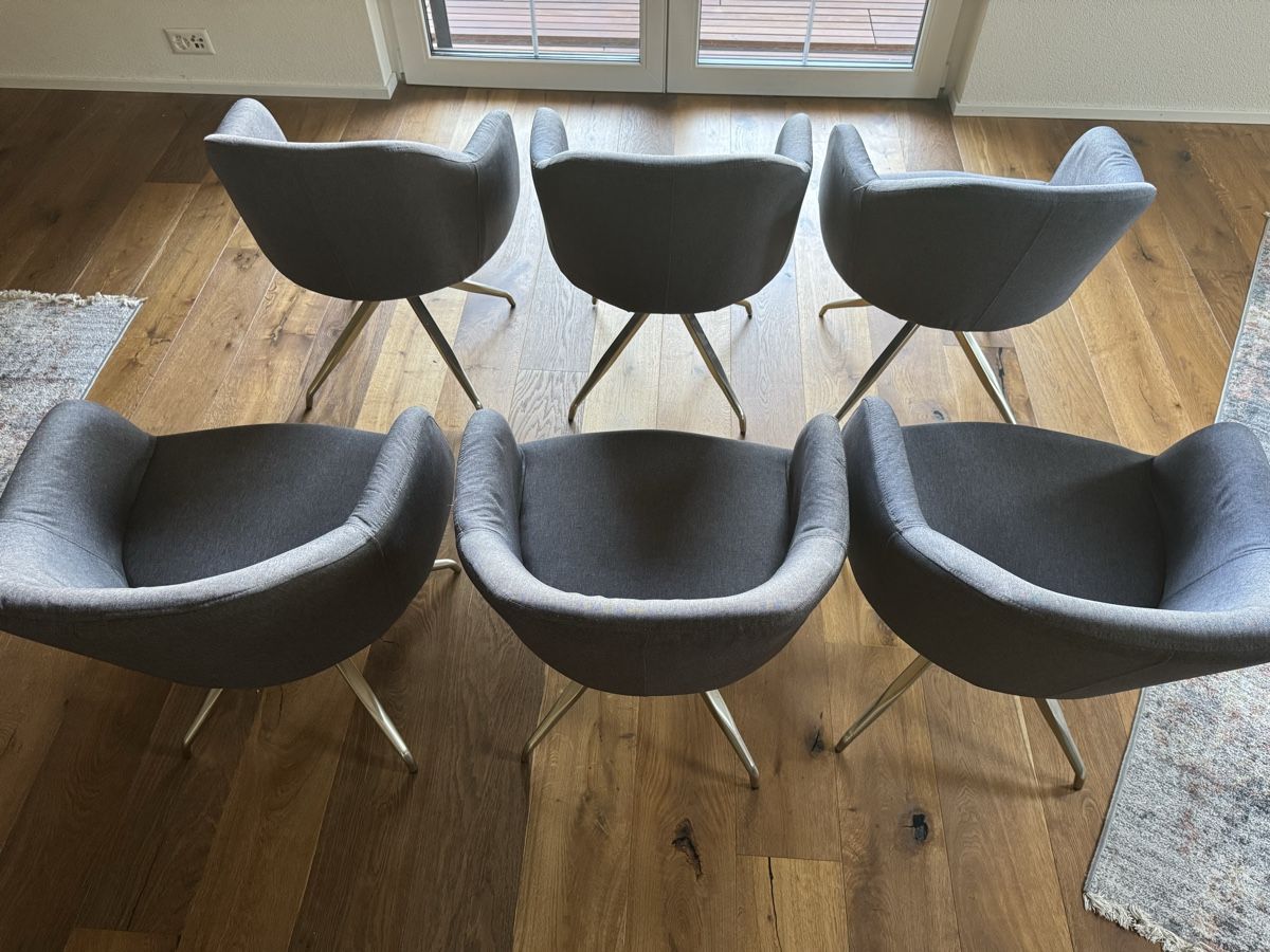 Chaises: 6 Stk. Esszimmerstühle  – D'occasion à Elsau par cali311 3