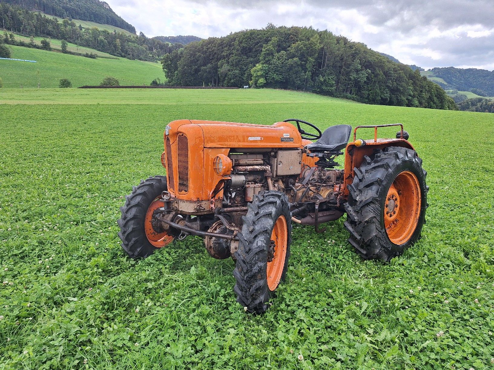 Oldtimer Traktor Borse