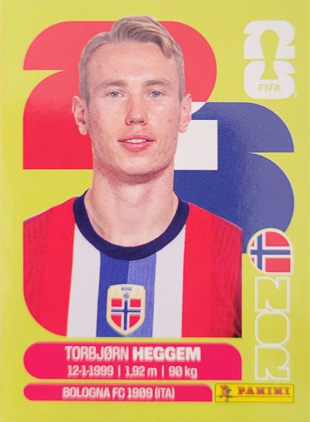 Panini Cartes à collectionner: Panini FIFA World Cup NOR 8 – Neuf (Voir description) à Wallisellen par never_give_up