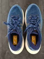 Asics Herren Laufschuh Gel-Kayano Lite 3 Grösse 44.5