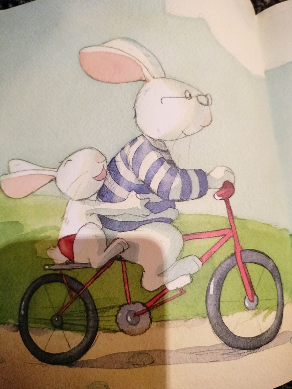 Libri: La belle histoire de mes 2 ans Fleurus – Usato da Cortaillod venduto da rozinna 4