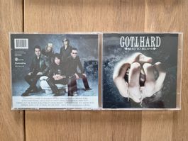 CD Gotthard - Need To Believe, 2009
