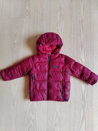 Patagonia Down Hoody